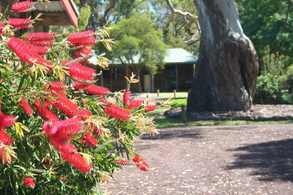 Southern Grampians Cottages Dunkeld Exteriör bild
