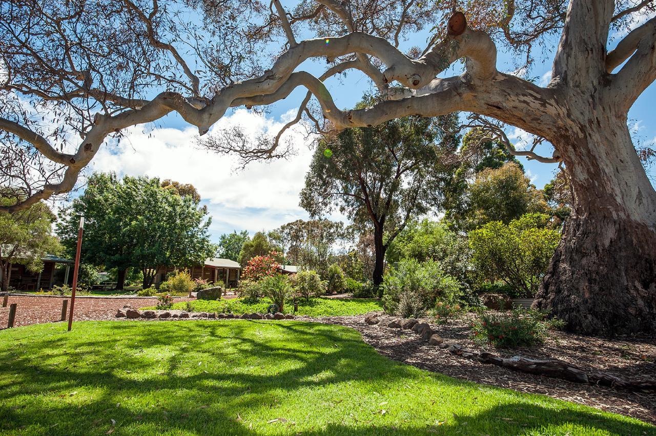 Southern Grampians Cottages Dunkeld Exteriör bild